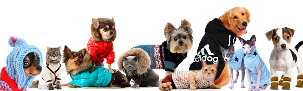 Одежда для кошек и собак с доставкой из Китая в Россию