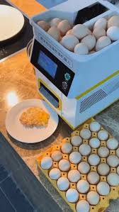 Доставка из Китая аппарата для приготовления яичницы: удобство и преимущества