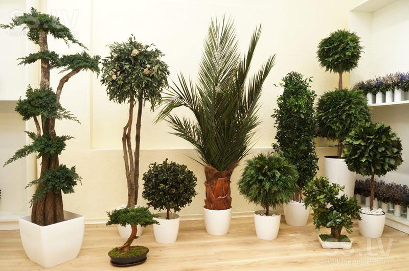 Доставка из Китая декоративных искусственных растений для интерьера