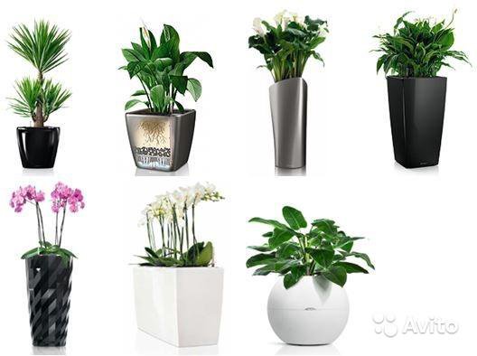 Цветочные горшки доставка с ПЭК Гуанчжоу из Китая. 