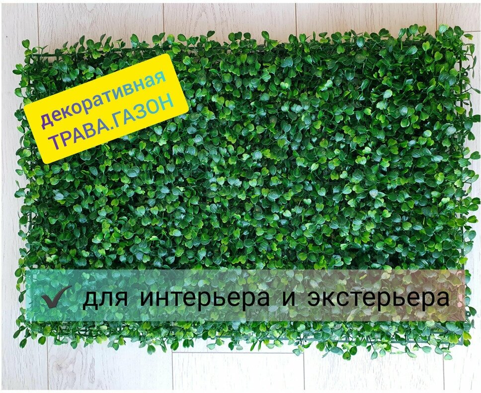 Декоративная газонная трава с доставкой из Китая