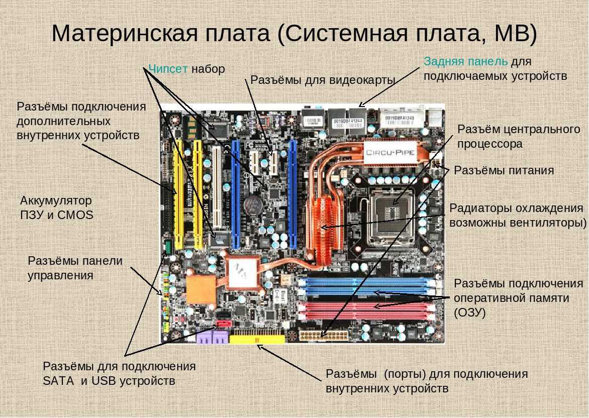 Материнская плата закупка и доставка опт по лучшим ценам с ПЭК Гуанчжоу.