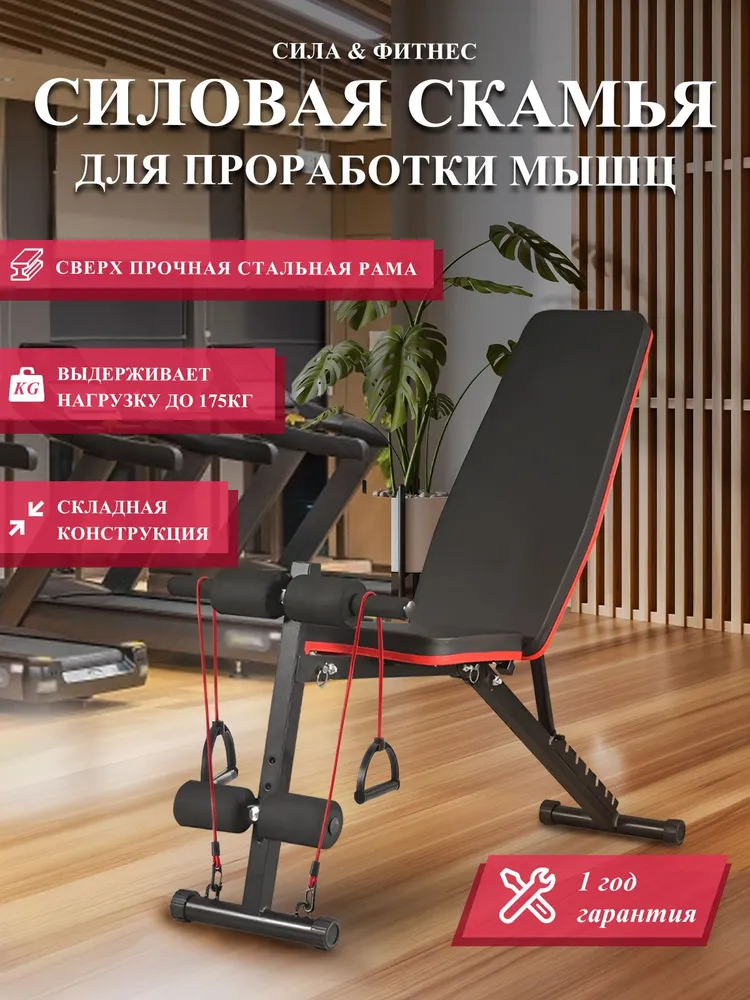 Доставка скамья для жима и пресса из Китая в Россию