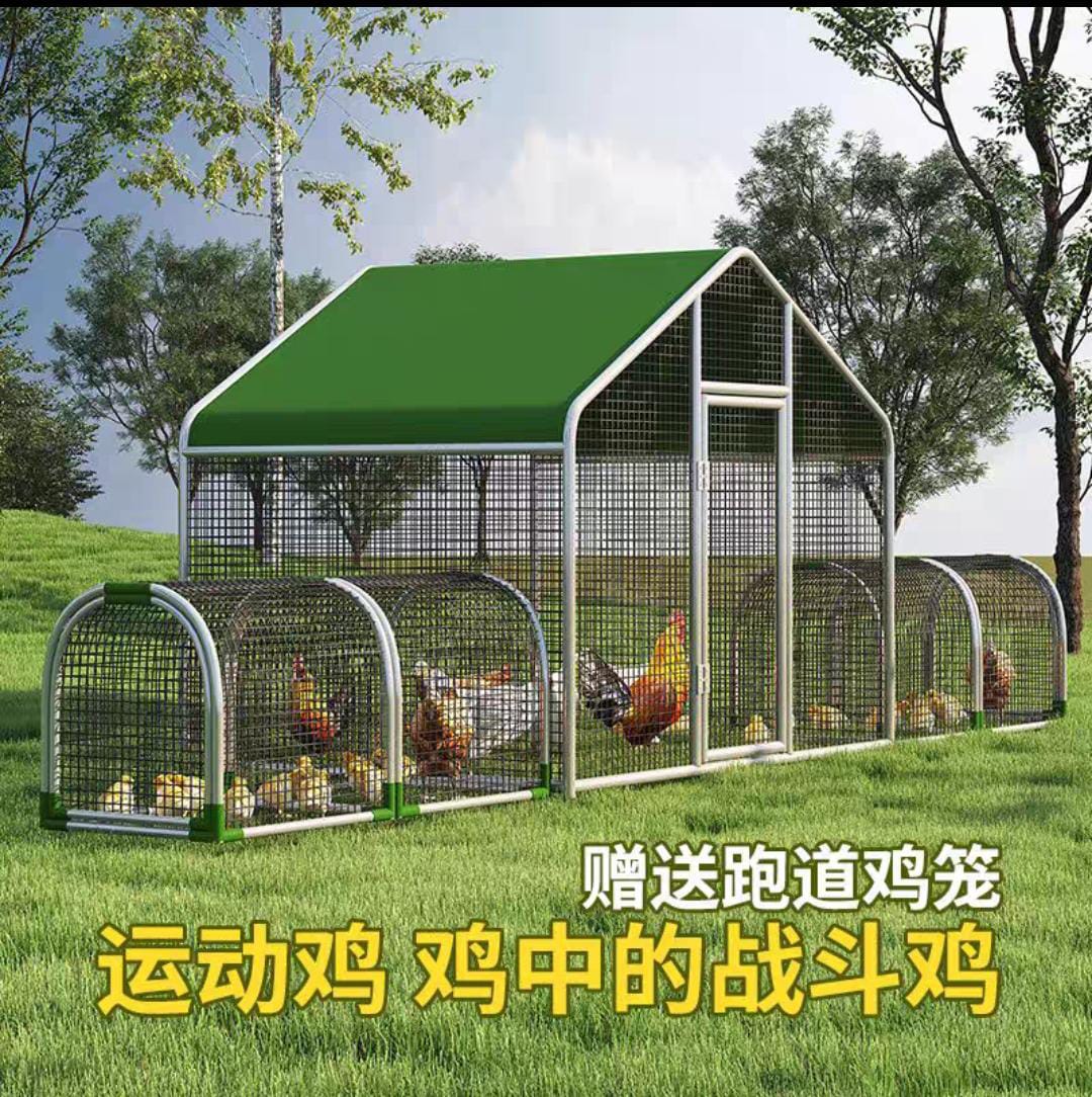 Клетки для содержания домашней птицы с доставкой из Китая в Россию