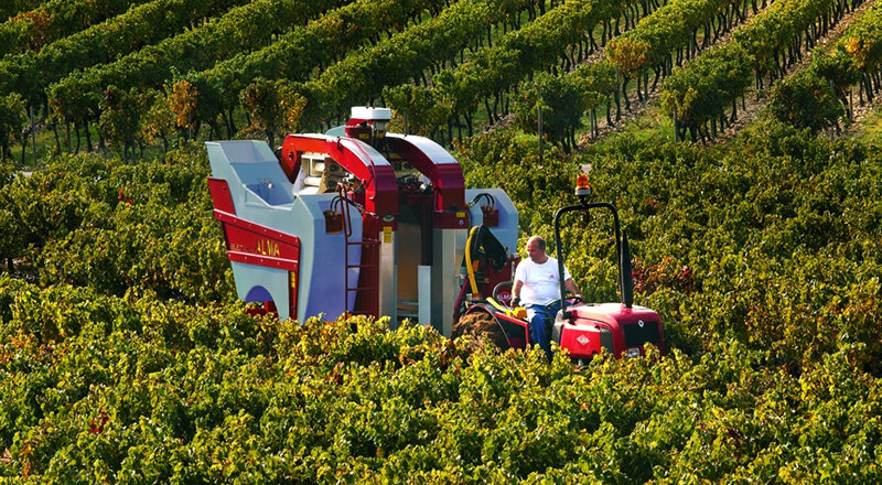 Прицепной комбайн для сбора винограда из Китая поставка с ПЭК Гуанчжоу в Россию