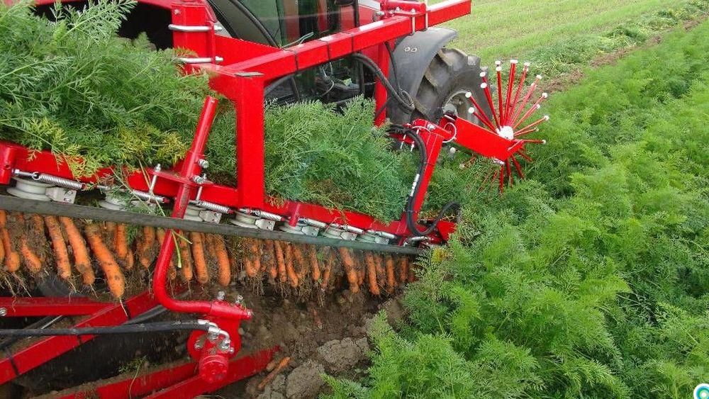 Морковоуборочный комбайн с доставкой из Китая в Россию