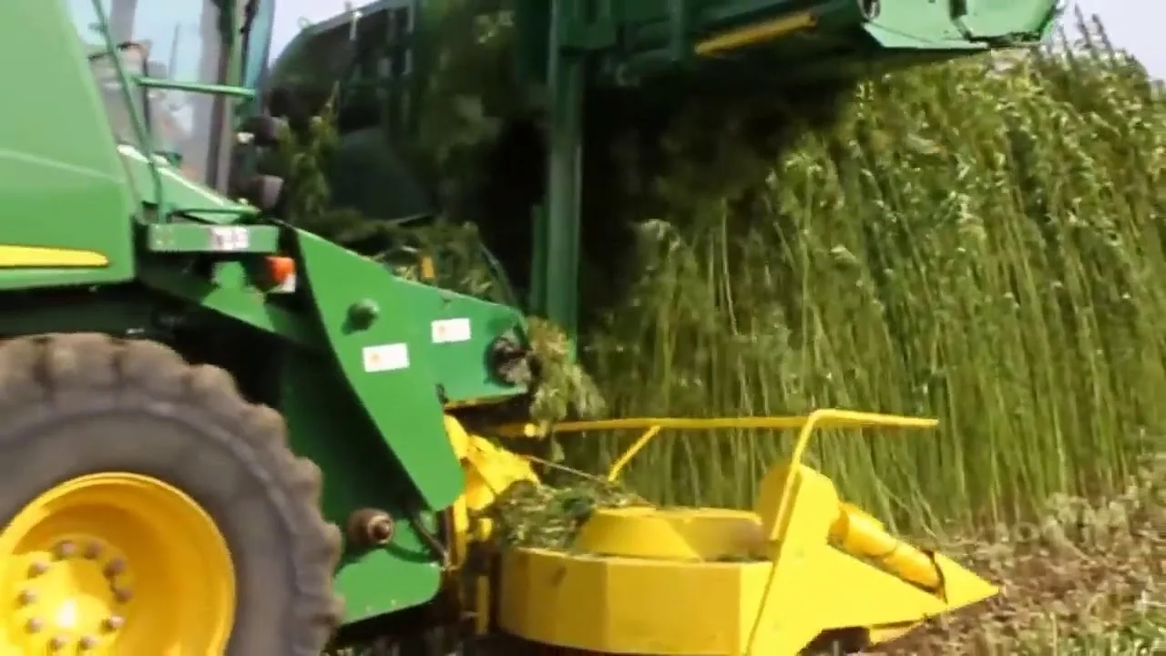 Комбайн самоходный для уборки стеблей конопли из Китая поставка с ПЭК Гуанчжоу в Россию