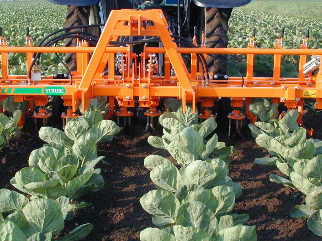 Полольник для тыквы, капусты из Китая поставка с ПЭК Гуанчжоу в Россию