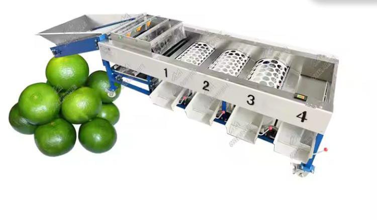 Сортировщик овощей и фруктов с доставкой из Китая в Россию