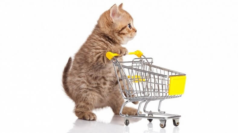 Товары для животных из Гуанчжоу Китай с карго ПЭК